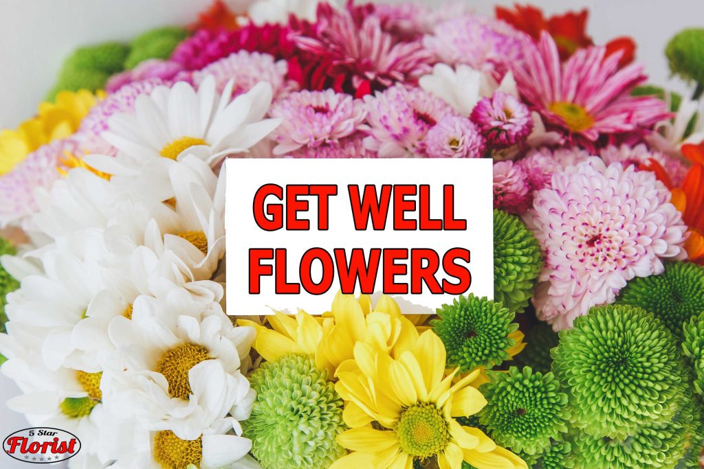 get well flowers St. Petersburg